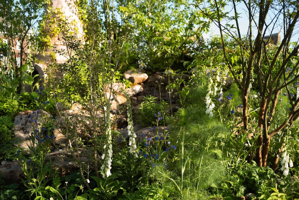 Chelsea garden view