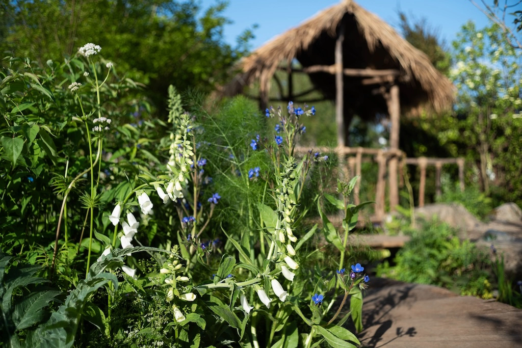 Chelsea garden view