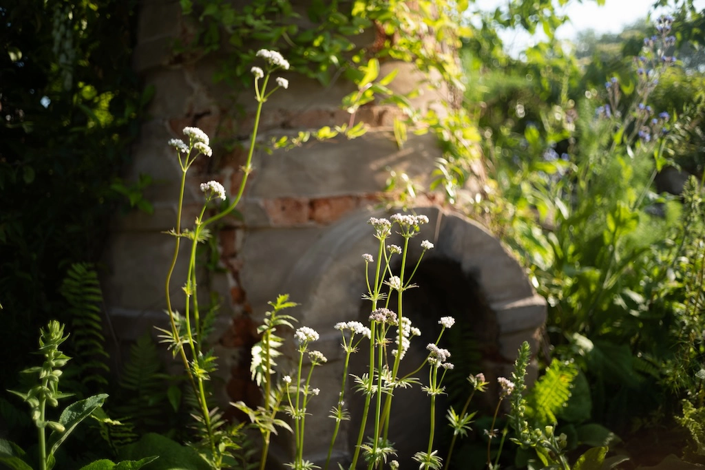 Chelsea garden view