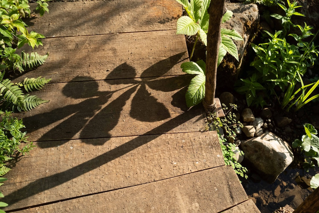Chelsea garden view