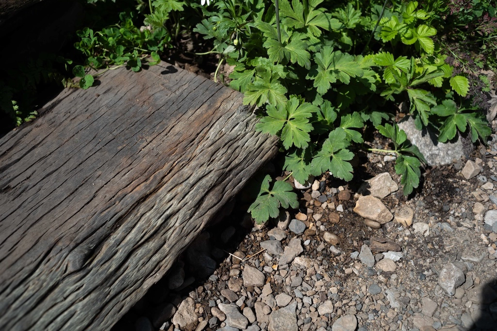 Garden texture and materials